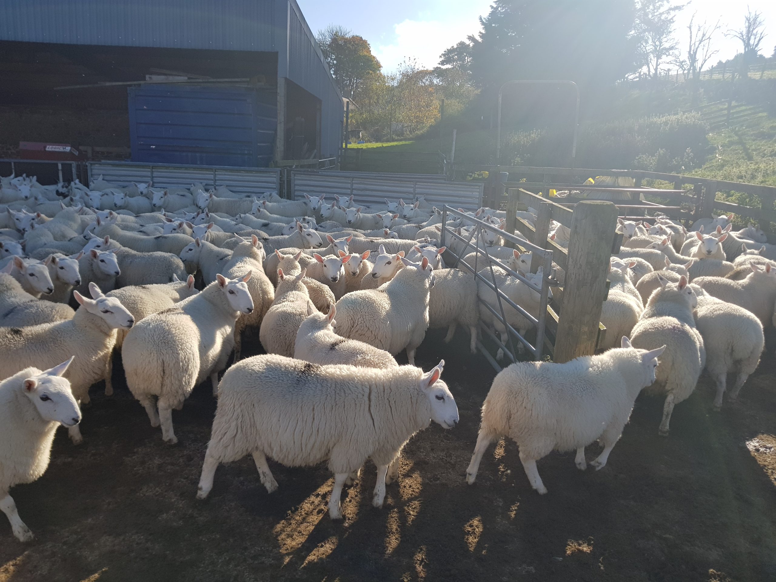 20241024_143311 - rob pic