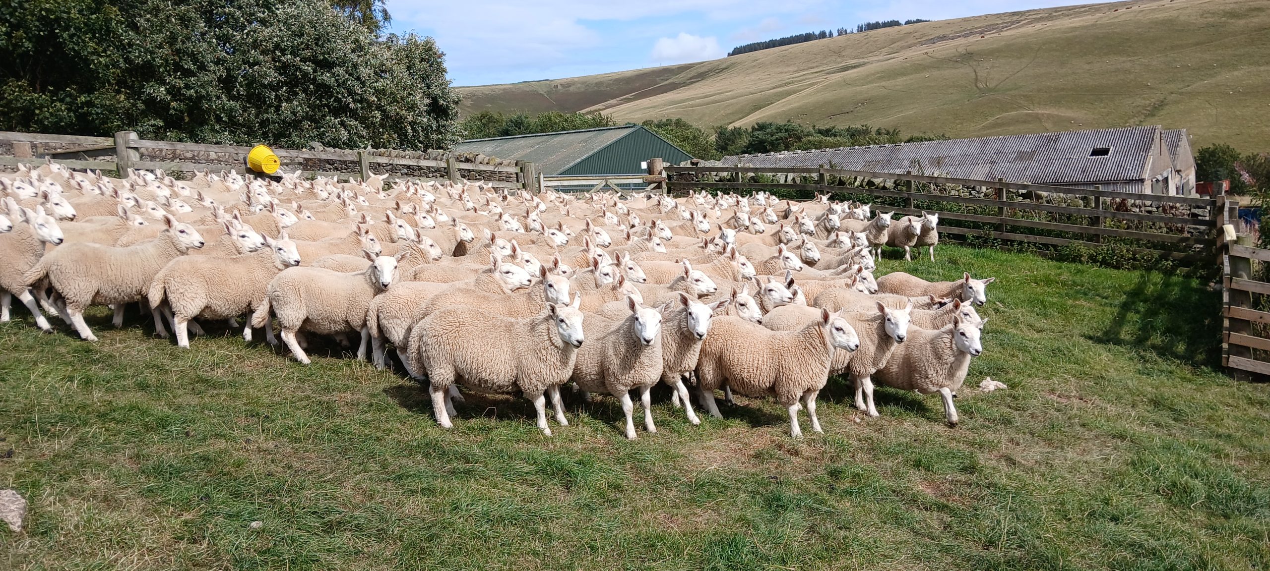 20250826_144404 - NCC Store Pic 1