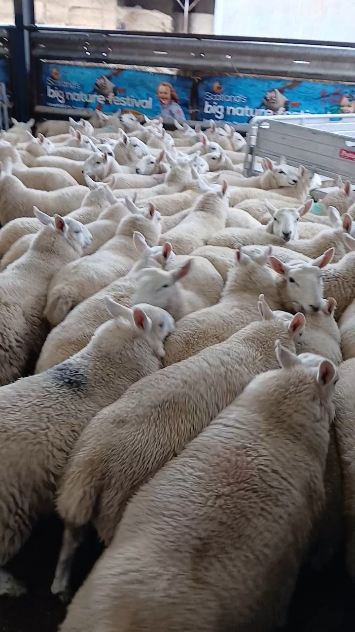 photo_2025-09-05_10-55-14 - rob Cht pic