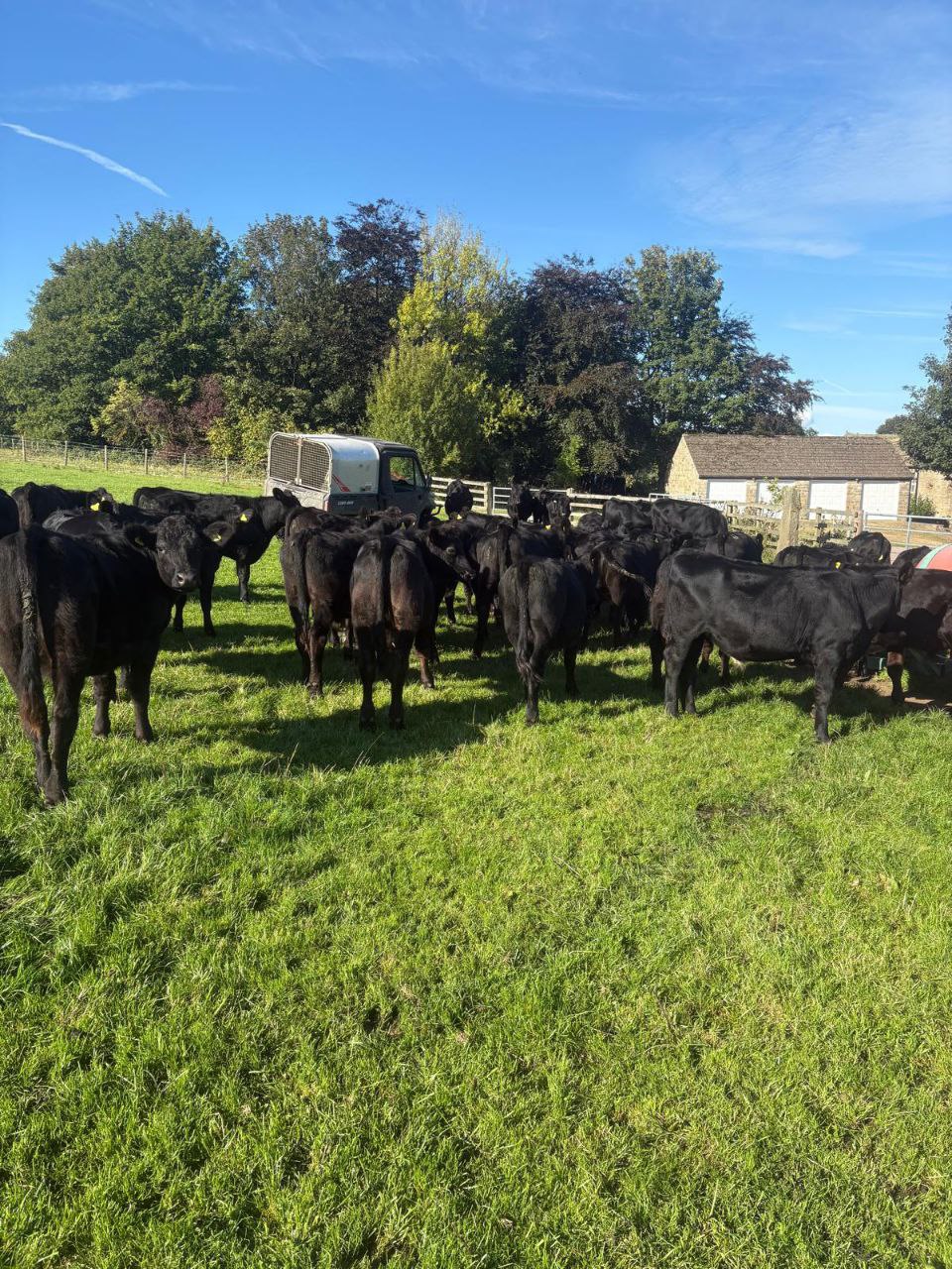 photo_2025-09-24_07-41-49 - Chris Pic