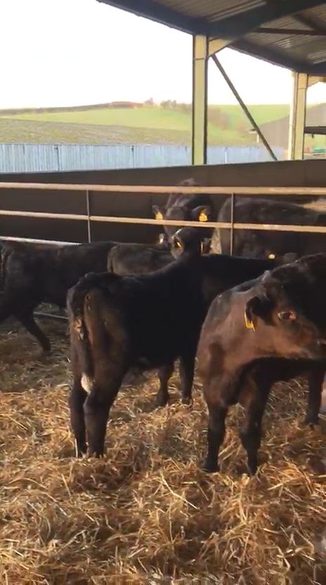 photo_2026-01-17_11-48-57 - JR headline