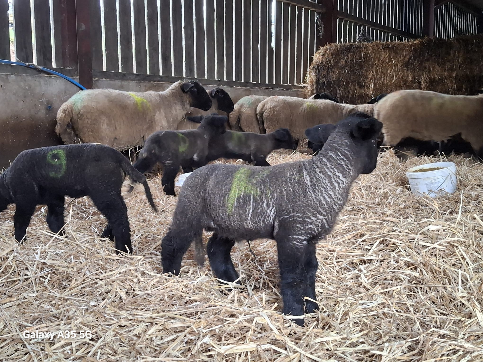 WhatsApp Image 2026-02-07 at 15.43.32 (3)