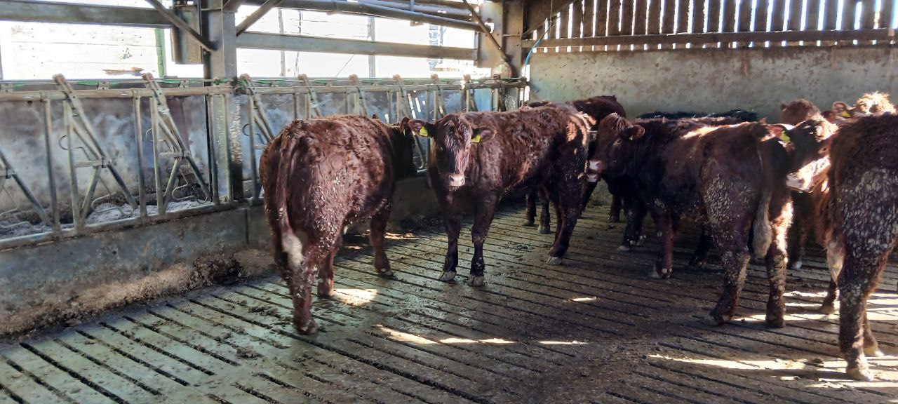 photo_2026-03-16_12-13-05